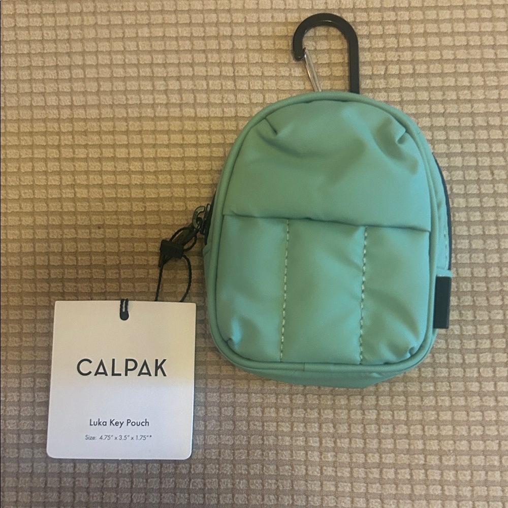 Calpak Luka Key Pouch in Sage